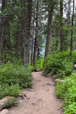 Rocky Dağları, Utah, Batı ABD için halka Falls'ta Wasatch büyük Cottonwood kanyonda yürüyüş parkurları dan dağ panoramik ön.