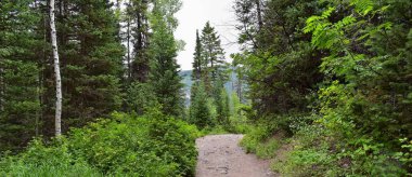 Rocky Dağları, Utah, Batı ABD için halka Falls'ta Wasatch büyük Cottonwood kanyonda yürüyüş parkurları dan dağ panoramik ön.