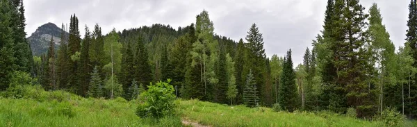 Panoramiczne Widoki Góry Szlaków Turystycznych Pączka Falls Big Cottonwood Canyon — Zdjęcie stockowe