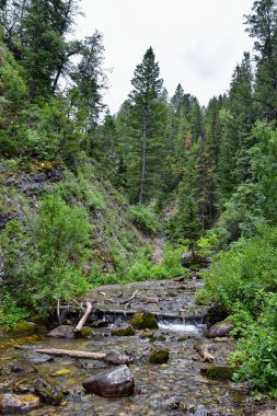 Yürüyüş parkurları halka Falls'a Wasatch açık Rocky Dağları büyük Cottonwood kanyonda, Utah, Batı ABD üzerinden şelale ve nehir akarsu dağ manzarası.