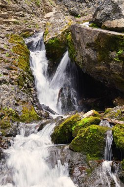 Yürüyüş parkurları halka Falls'a Wasatch açık Rocky Dağları büyük Cottonwood kanyonda, Utah, Batı ABD üzerinden şelale ve nehir akarsu dağ manzarası.