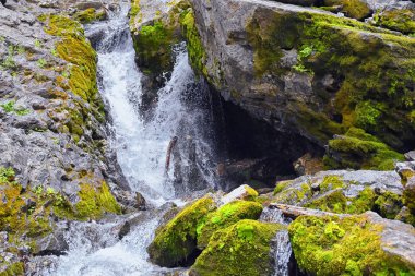 Yürüyüş parkurları halka Falls'a Wasatch açık Rocky Dağları büyük Cottonwood kanyonda, Utah, Batı ABD üzerinden şelale ve nehir akarsu dağ manzarası.