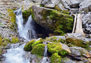 Yürüyüş parkurları halka Falls'a Wasatch açık Rocky Dağları büyük Cottonwood kanyonda, Utah, Batı ABD üzerinden şelale ve nehir akarsu dağ manzarası.