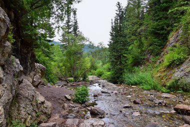 Yürüyüş parkurları halka Falls'a Wasatch açık Rocky Dağları büyük Cottonwood kanyonda, Utah, Batı ABD üzerinden şelale ve nehir akarsu dağ manzarası.