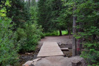 Yürüyüş parkurları halka Falls'a Wasatch açık Rocky Dağları büyük Cottonwood kanyonda, Utah, Batı ABD üzerinden şelale ve nehir akarsu dağ manzarası.