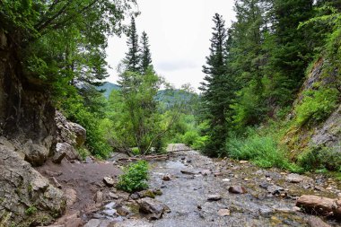 Yürüyüş parkurları halka Falls'a Wasatch açık Rocky Dağları büyük Cottonwood kanyonda, Utah, Batı ABD üzerinden şelale ve nehir akarsu dağ manzarası.