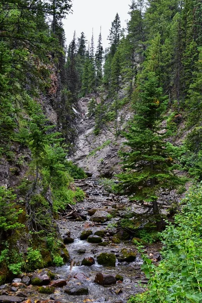 Vodopád Říční Proud Hory Turistické Stezky Prstencový Falls Big Cottonwood — Stock fotografie