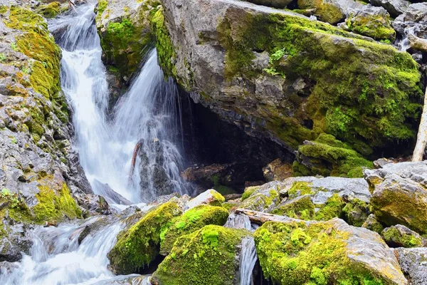 Yürüyüş parkurları halka Falls'a Wasatch açık Rocky Dağları büyük Cottonwood kanyonda, Utah, Batı ABD üzerinden şelale ve nehir akarsu dağ manzarası.