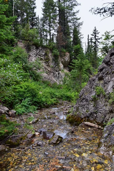 Yürüyüş parkurları halka Falls'a Wasatch açık Rocky Dağları büyük Cottonwood kanyonda, Utah, Batı ABD üzerinden şelale ve nehir akarsu dağ manzarası.