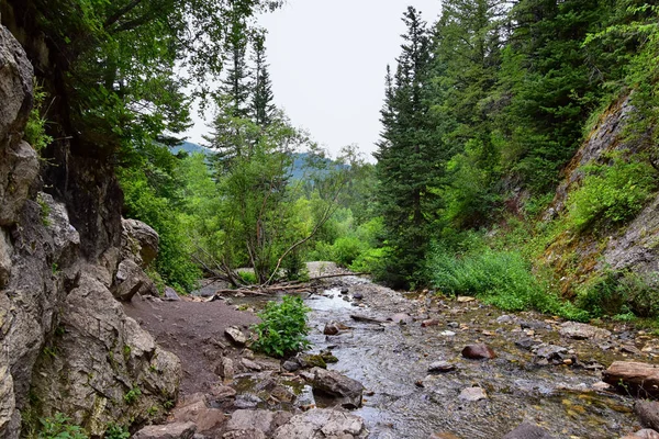 Yürüyüş parkurları halka Falls'a Wasatch açık Rocky Dağları büyük Cottonwood kanyonda, Utah, Batı ABD üzerinden şelale ve nehir akarsu dağ manzarası.