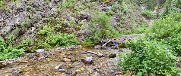 大きいコットンウッド渓谷 Wasatch の前部ロッキー山脈で ユタ州 アメリカ西部でドーナツの滝へのハイキング コースから滝と川のストリーム山の景色 — ストック写真