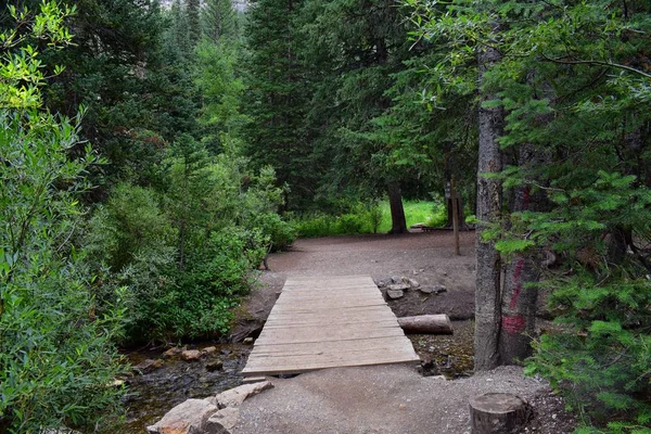 Yürüyüş parkurları halka Falls'a Wasatch açık Rocky Dağları büyük Cottonwood kanyonda, Utah, Batı ABD üzerinden şelale ve nehir akarsu dağ manzarası.