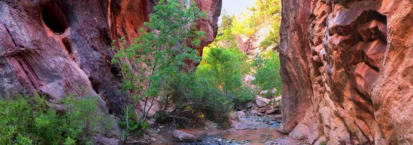 Kanarraville Falls Utsikt Från Längs Vandringsleden Falls Stream Floden Sandsten — Stockfoto