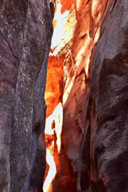 Kanarraville Falls, falls, dere, nehir, kumtaşı cliff oluşumları şelale Kanarra dere Kanyon Zion National Park, Utah, ABD tarafından hiking trail boyunca manzaraları.
