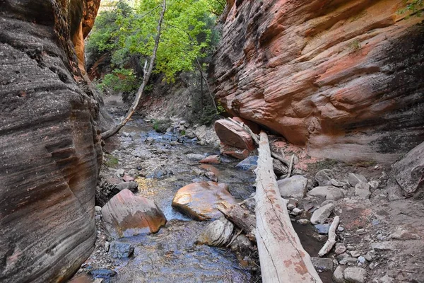 Kanarraville Falls Utsikt Från Längs Vandringsleden Falls Stream Floden Sandsten — Stockfoto