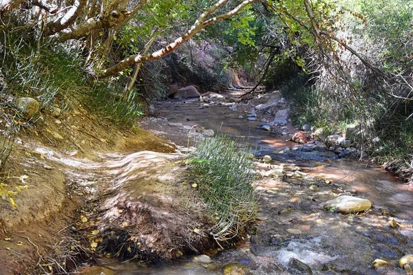 Kanarraville Fälle Ausblicke Entlang Des Wanderweges Von Fällen Bach Fluss — Stockfoto