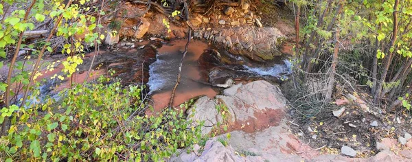 Kanarraville Falls Pohledy Podél Stezky Vodopády Proud Řeka Pískovcové Skály — Stock fotografie