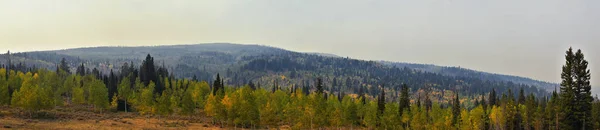 Pozdní Letní Počátkem Podzimu Lesní Panorama Pěší Turistika Cykloturistika Jízda — Stock fotografie