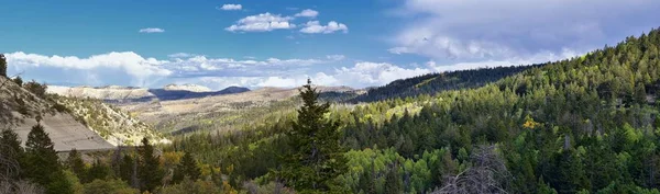夏季初全景森林景观徒步穿越树木在印度峡谷 九里峡谷环线之间的杜切斯内和价格在我们公路 191 在犹他州美国犹他州范围 — 图库照片