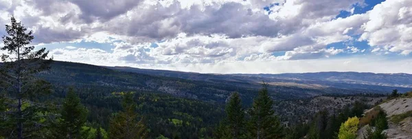 Наприкінці Літа Початку Падіння Панорама Ліс Переглядів Походи Крізь Дерева — стокове фото