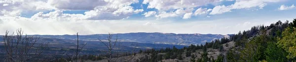 Sen Sommaren Tidigt Hösten Panorama Utsikt Över Skogen Vandring Genom — Stockfoto