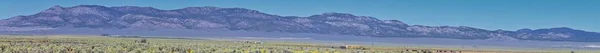Utah Rocky Mountain Wasatch Panoramatické Krajiny Fishlake Národním Lese Podél — Stock fotografie