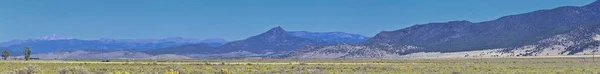 Utah Rocky Mountain Wasatch Panoramiczne Pejzaże Przez Fishlake National Forest — Zdjęcie stockowe