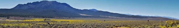 Panoramische Landschappen Van Utah Rocky Mountain Wasatch Door Fishlake National — Stockfoto