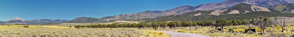 Utah Rocky Mountain Wasatch Panoramautsikt Över Landskap Fishlake National Forest — Stockfoto