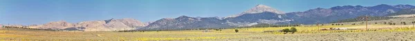 Utah Rocky Mountain Wasatch Panoramic Landscapes Fishlake National Forest Longo — Fotografia de Stock