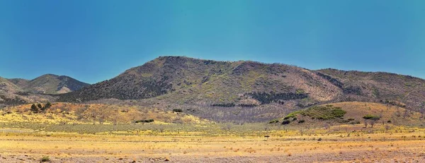 Utah Rocosos Montaña Wasatch Paisajes Panorámica Por Bosque Nacional Fishlake — Foto de Stock