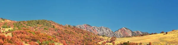 Box Holunder Canyon Landschaft Ansichten Volksmund Als Sardinenschlucht Bekannt Nördlich — Stockfoto