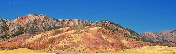 Box Elder Canyon landscape views, popularly known as Sardine Canyon, North of Brigham City within the western slopes of the Wellsville Mountains, by Logan in Cache County a branch of the Wasatch Range of the Rocky Mountains in Utah, in the Western Un