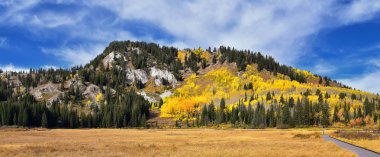 Silver Lake yalnızlık ve Brighton Ski resort büyük Cottonwood kanyonda tarafından. Panoramik yürüyüş ve çevredeki dağların boardwalk yollar, parlak sonbahar sonbahar renkleri aspen ve çam ağaçları. Rocky Dağları, Wasatch açık, 