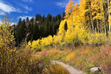 Silver Lake yalnızlık ve Brighton Ski resort büyük Cottonwood kanyonda tarafından. Panoramik yürüyüş ve çevredeki dağların boardwalk yollar, parlak sonbahar sonbahar renkleri aspen ve çam ağaçları. Rocky Dağları, Wasatch açık, 