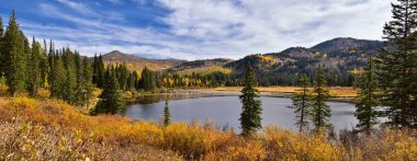 Silver Lake yalnızlık ve Brighton Ski resort büyük Cottonwood kanyonda tarafından. Panoramik yürüyüş ve çevredeki dağların boardwalk yollar, parlak sonbahar sonbahar renkleri aspen ve çam ağaçları. Rocky Dağları, Wasatch açık, 