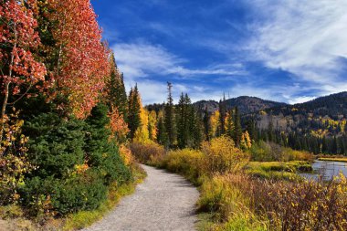 Silver Lake yalnızlık ve Brighton Ski resort büyük Cottonwood kanyonda tarafından. Panoramik yürüyüş ve çevredeki dağların boardwalk yollar, parlak sonbahar sonbahar renkleri aspen ve çam ağaçları. Rocky Dağları, Wasatch açık, 