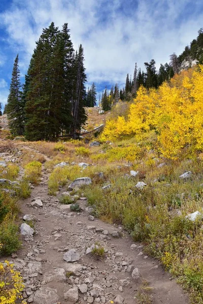 Silver Lake Solitude Brighton Ski Resort Nel Big Cottonwood Canyon — Foto Stock