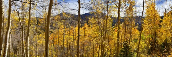 Silver Lake Przez Samotność Brighton Ski Resort Big Cottonwood Canyon — Zdjęcie stockowe