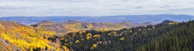 Pass tarafından Midway ve Heber Vadisi boyunca Wasatch açık Rocky Dağları, sonbahar yaprak orman parlak turuncu ve sarı renkler Brighton taraftan panoramik manzara muhafızı geçiş sayısı. Utah, Amerika Birleşik Devletleri.