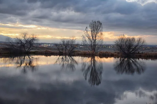 Utsikt Över Josh Pond Väg Reflekterande Solnedgång Broomfield Colorado Omgiven — Stockfoto