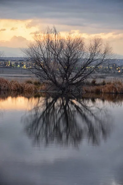 Views Josh Pond Walking Path Reflecting Sunset Broomfield Colorado Surrounded — Stock Photo, Image