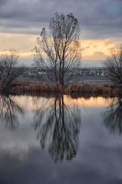 Vistas Del Sendero Josh Pond Reflejando Atardecer Broomfield Colorado Rodeado —  Fotos de Stock