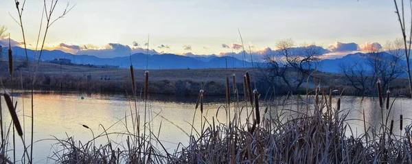 Vistas Del Sendero Josh Pond Reflejando Atardecer Broomfield Colorado Rodeado — Foto de Stock