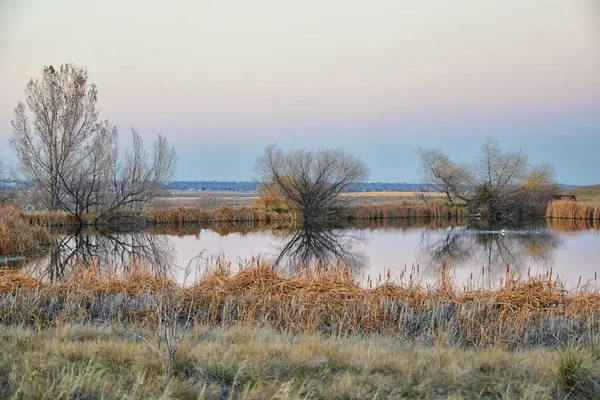 在科罗拉多州布鲁姆菲尔德 被猫尾 平原和落基山脉景观所包围的日落 可以欣赏到乔希的池塘小径的景色 — 图库照片