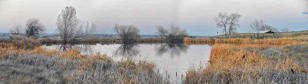 Vistas Trilha Caminhada Lagoa Josh Refletindo Pôr Sol Broomfield Colorado — Fotografia de Stock