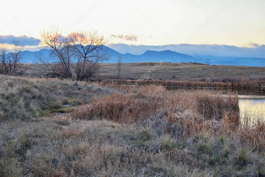 Views of Josh's Pond walking path, Reflecting Sunset in Broomfield Colorado surrounded by Cattails, plains and Rocky mountain landscape during sunset. United States.