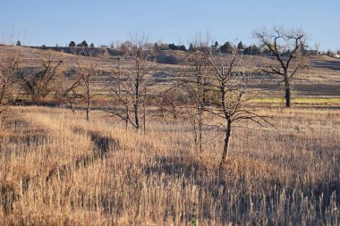 Broomfield sonbahar kış yakın sırasında uzun, yaban hayatı, ovalar ve kayalık dağ manzarası ile çevrili Colorado Carolyn Holmberg koru yolu yürürken Cradleboard iz görünümlerinden. Amerika Birleşik Devletleri.