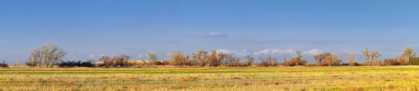 冬に近い秋にガマ 野生動物 平原やロッキーの山の風景に囲まれたコロラド ブルームフィールド キャロリン ホルムバーグ保存のパスを歩く Cradleboard トレイルからの景色 — ストック写真