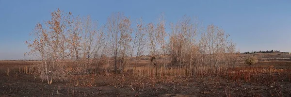 Vistas Cradleboard Trail Caminho Carolyn Holmberg Preserve Broomfield Colorado Cercado — Fotografia de Stock